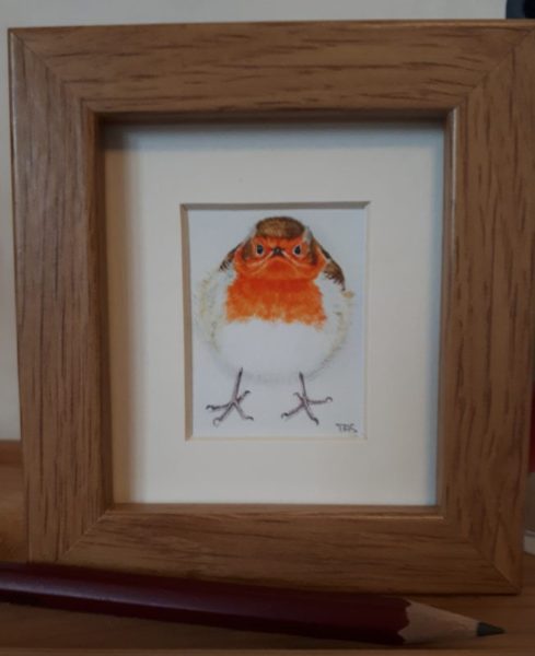 Mini framed print Robin